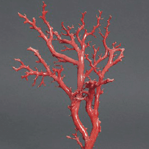 赤珊瑚置物
